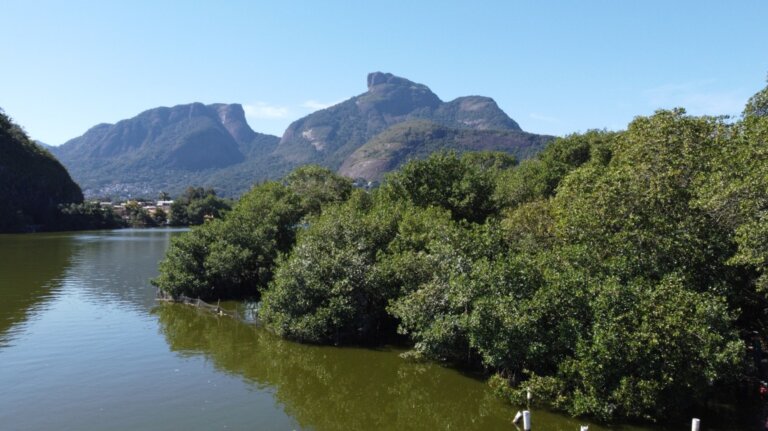 em-unidades-de-conservacao,-rio-amplia-protecao-de-manguezais-e-supera-3.200-hectares-preservados