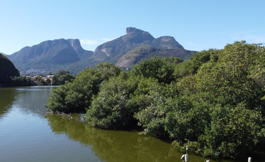 em-unidades-de-conservacao,-rio-amplia-protecao-de-manguezais-e-supera-3.200-hectares-preservados