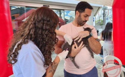 ccz-campos-alerta-para-importancia-da-vacina-antirrabica-para-caes-e-gatos