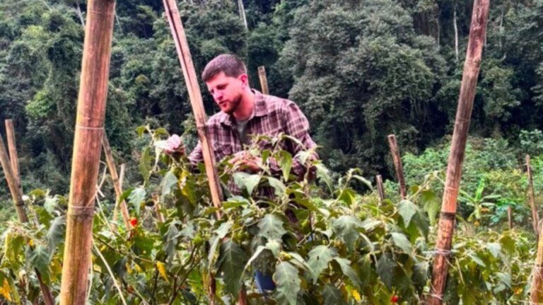 leis-aprovadas-na-alerj-ampliam-apoio-a-agricultura-familiar-e-valorizam-produtores-rurais