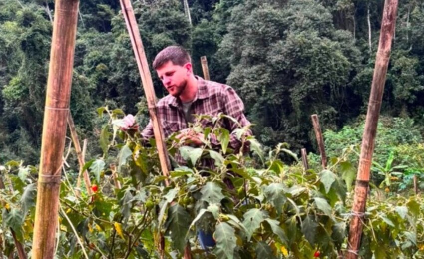 leis-aprovadas-na-alerj-ampliam-apoio-a-agricultura-familiar-e-valorizam-produtores-rurais