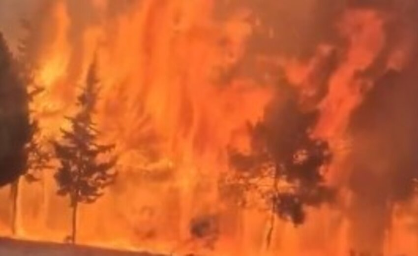 incendios-florestais-na-espanha-deixam-milhares-de-desabrigados
