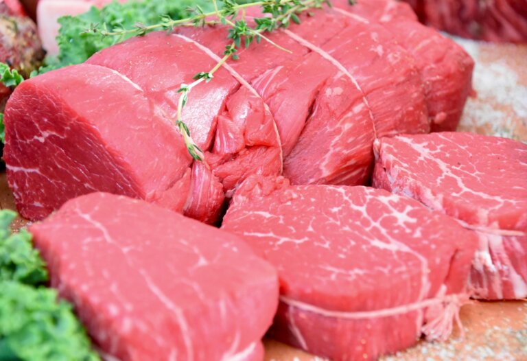 brasil-avalia-ir-a-omc-contra-veto-da-uniao-europeia-a-carne-brasileira