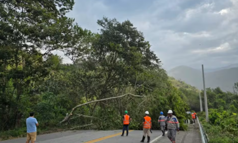 ventania-que-atingiu-o-rio-chega-a-costa-verde-com-rajadas-de-104-km/h