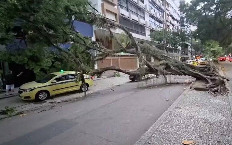 vendaval-deixa-rastro-de-destruicao-no-rio;-veja-o-que-se-sabe-ate-agora