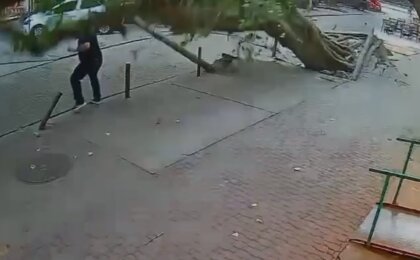 homem-escapa-por-centimetros-de-ser-esmagado-por-arvore-na-tijuca