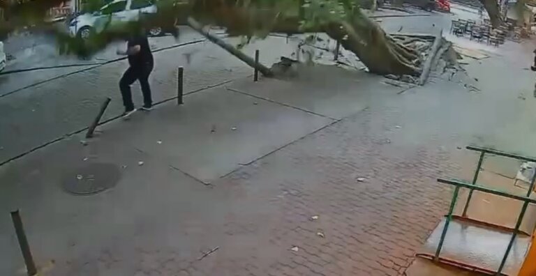homem-escapa-por-centimetros-de-ser-esmagado-por-arvore-na-tijuca