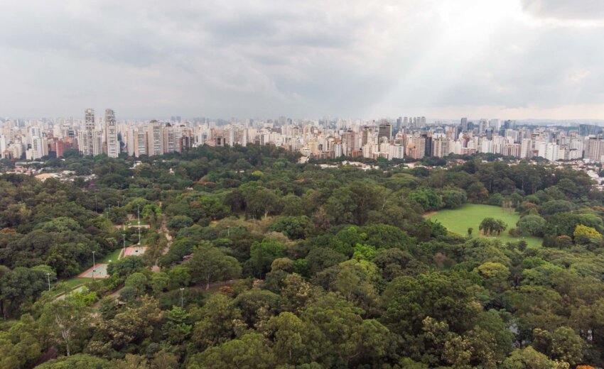 descubra-seis-passeios-para-celebrar-o-dia-dos-pais-em-sao-paulo-|-dicas-de-viagem