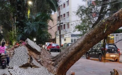 arquidiocese-do-rio-faz-campanha-para-vitimas-do-vendaval;-saiba-como-ajudar