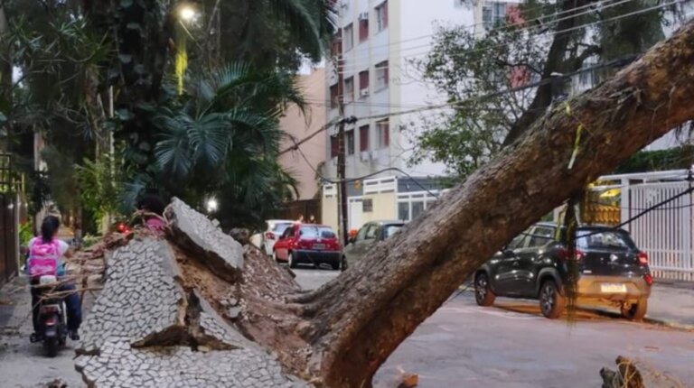 arquidiocese-do-rio-faz-campanha-para-vitimas-do-vendaval;-saiba-como-ajudar