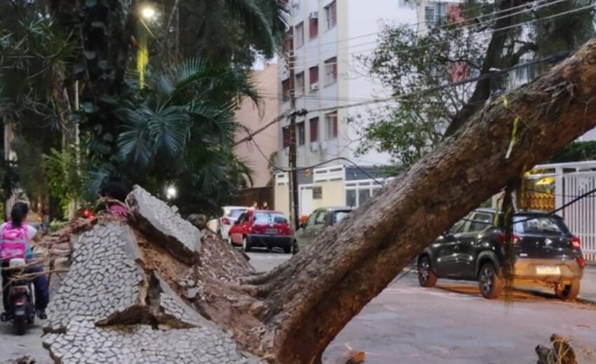 arquidiocese-do-rio-faz-campanha-para-vitimas-do-vendaval;-saiba-como-ajudar