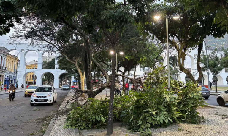 rio-segue-em-alerta-apos-vendaval-com-arvores-caidas-e-vias-interditadas