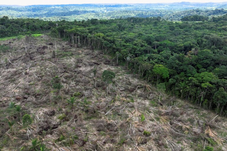 ruralistas-miram-1,7-milhao-de-hectares-de-areas-protegidas-no-congresso