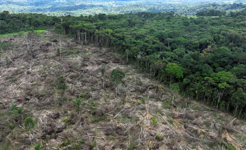 ruralistas-miram-1,7-milhao-de-hectares-de-areas-protegidas-no-congresso