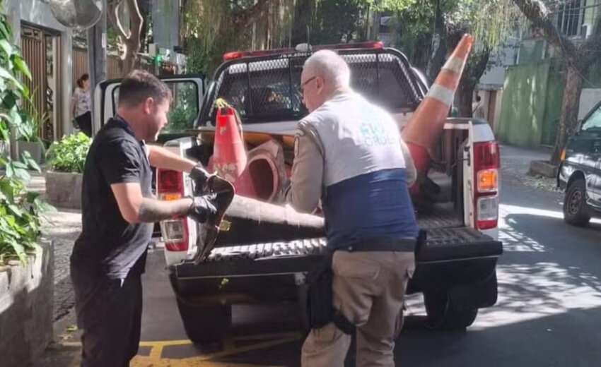 em-operacao-da-prefeitura,-cones-irregulares-sao-retirados-de-ruas-da-zona-sul