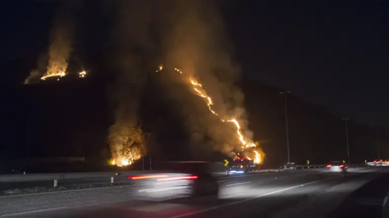 bombeiros-enfrentam-mais-de-800-incendios-em-vegetacao-no-rio-em-cinco-dias