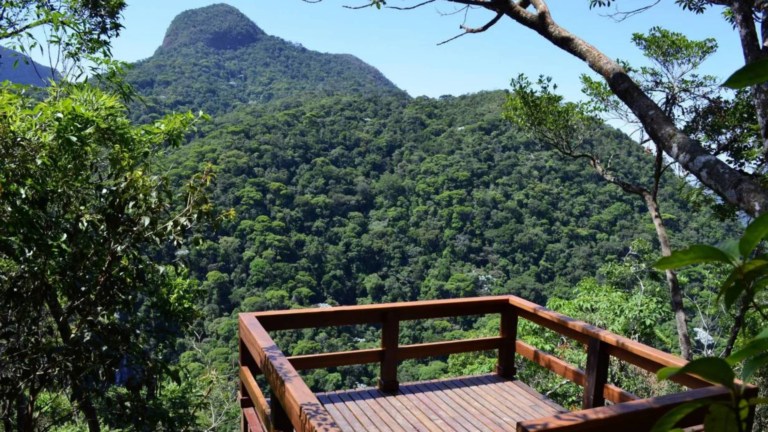 parque-nacional-da-tijuca,-cristo-e-outros-locais-sao-fechados-por-causa-de-ventania