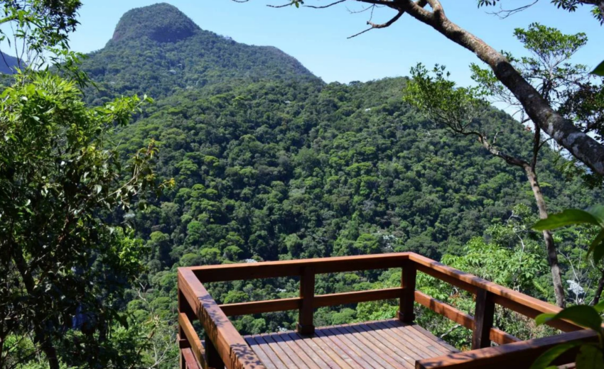parque-nacional-da-tijuca,-cristo-e-outros-locais-sao-fechados-por-causa-de-ventania