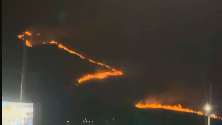incendio-destroi-3-mil-arvores-e-levanta-suspeita-de-crime-em-nova-iguacu