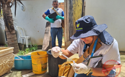 vigilancia-ambiental-em-saude-de-macae-divulga-programacao-da-semana-epidemiologica-32-com-acoes-de-controle-de-vetores