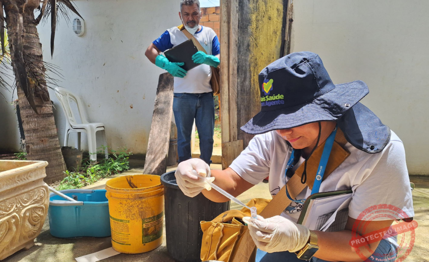 vigilancia-ambiental-em-saude-de-macae-divulga-programacao-da-semana-epidemiologica-32-com-acoes-de-controle-de-vetores
