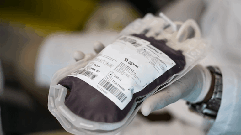 campanha-de-doacao-de-sangue-mobiliza-alerj-e-hemorio-nesta-terca-feira