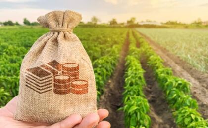 aprovacoes-de-credito-do-bndes-para-o-agro-chegam-a-r$-24,8-bi,-o-maior-valor-da-historia