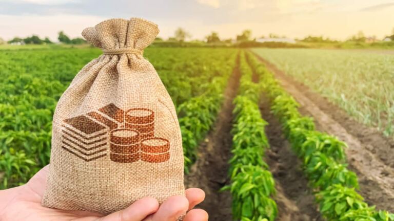 aprovacoes-de-credito-do-bndes-para-o-agro-chegam-a-r$-24,8-bi,-o-maior-valor-da-historia