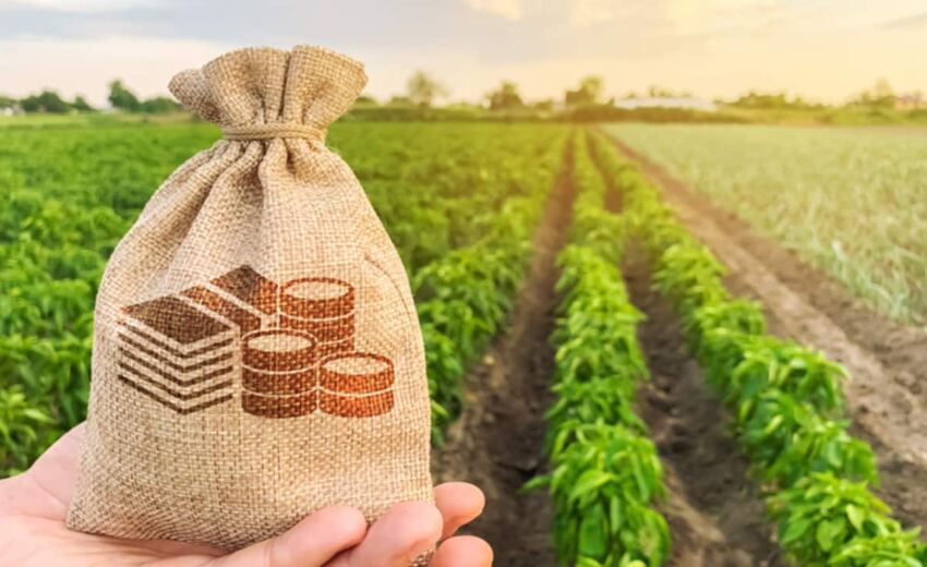 aprovacoes-de-credito-do-bndes-para-o-agro-chegam-a-r$-24,8-bi,-o-maior-valor-da-historia